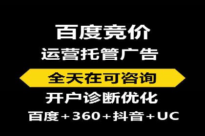 行业领先企业的SEM代理案例剖析